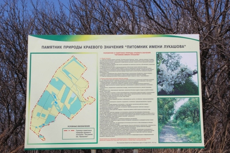 Хабаровчане предложат свои решения по благоустройству территории "Питомника имени Лукашова" фото 2