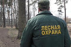 В лесах Хабаровского края начались противопожарные профилактические рейды