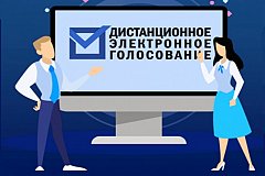 Центризбирком РФ протестирует систему дистанционного электронного голосования