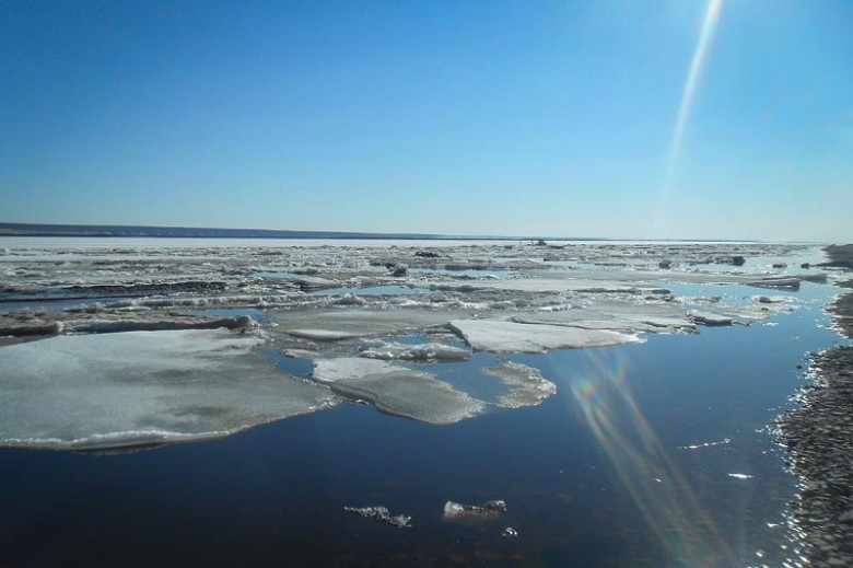 Якутяне смогут наблюдать за ледоходом онлайн фото 2