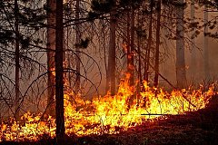 Хабаровский край окажет помощь Якутии в тушении природных пожаров