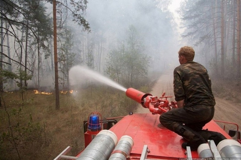 Более десяти лесных пожаров зафиксировано в Хабаровском крае фото 2