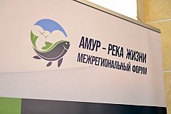 Михаил Дегтярев: Необходимо срочно принимать меры для сохранения рыбы в Амуре