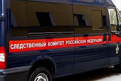 В Хабаровском крае на базе отдыха обстреляли людей из карабина «Сайга»