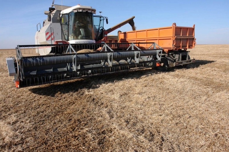 Кампания по уборке зерновых полным ходом идет в Хабаровском крае фото 2