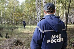 В Комсомольском районе разыскивается пропавшая женщина