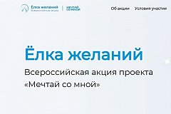Всероссийская акция «Елка желаний» пройдет в Хабаровском крае