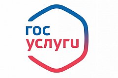 Более 70 региональных и муниципальных услуг доступны жителям Хабаровского края на едином портале
