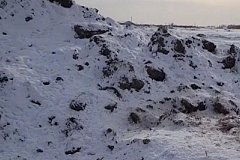 В пригороде Хабаровска обнаружена огромная свалка из останков кур с местной птицефабрики