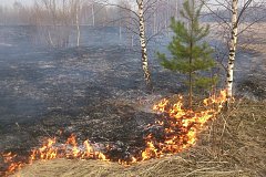 Дым от пожаров накрывает Хабаровский край