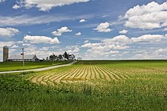 Власти Хабаровского края в три раза увеличат финансовую поддержку сельхозпроизводителей