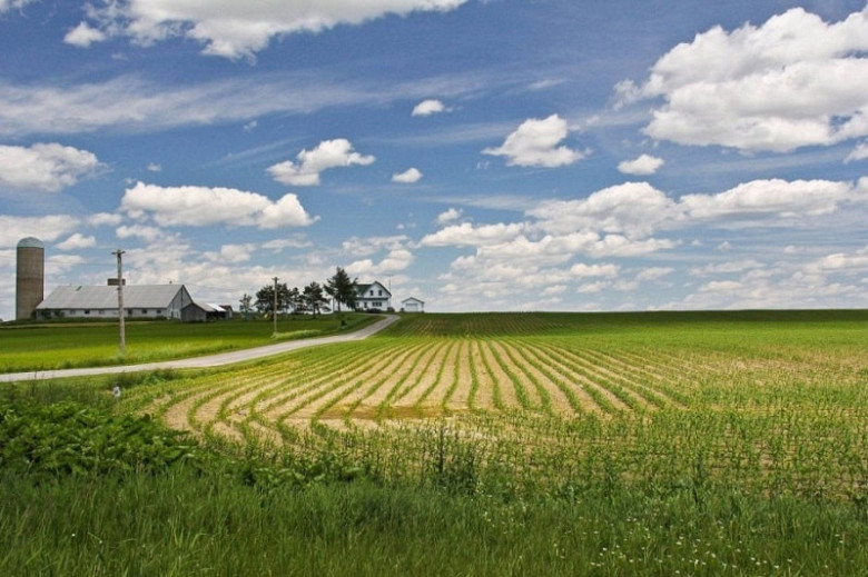 Власти Хабаровского края в три раза увеличат финансовую поддержку сельхозпроизводителей фото 2