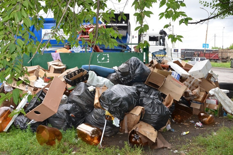Объёмы вывоза мусора из хабаровских дворов удалось удвоить за две недели фото 4