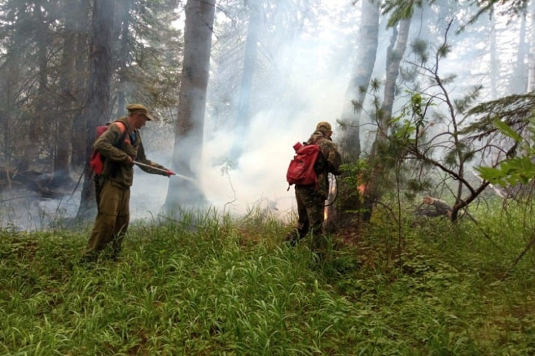 Из-за дыма от лесных пожаров эвакуировали жителей села в Хабаровском крае фото 2