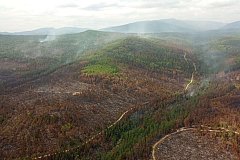 В два раза увеличилось число лесных пожаров за неделю в Хабаровском крае