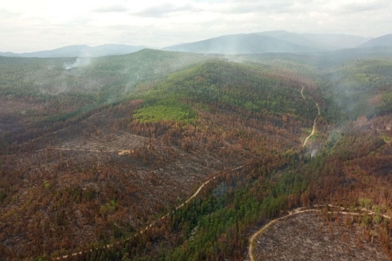 В два раза увеличилось число лесных пожаров за неделю в Хабаровском крае фото 2