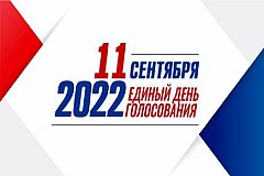 В Хабаровске состоятся дополнительные выборы депутатов городской думы