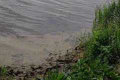 В Хабаровске утонула девочка-подросток