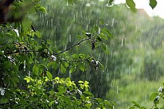 Хабаровский край накроют сильные дожди