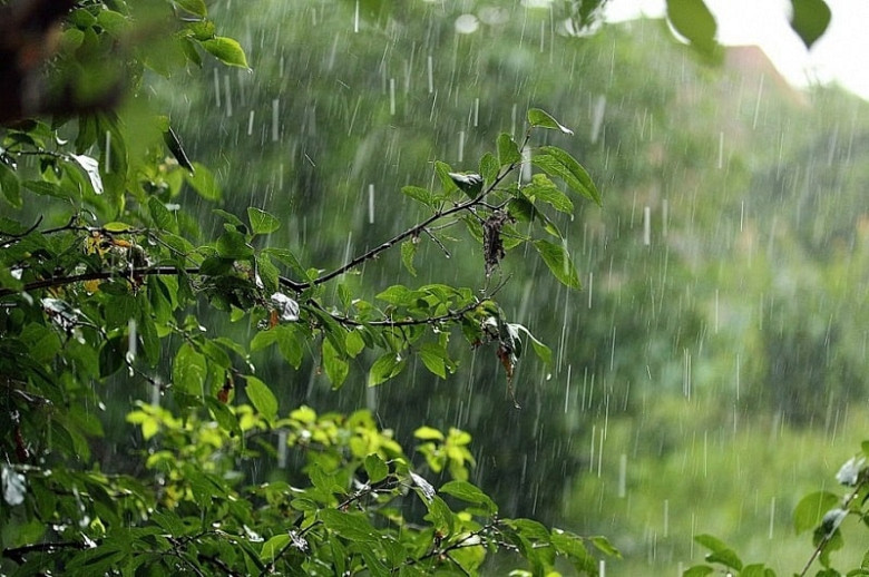 Хабаровский край накроют сильные дожди фото 2