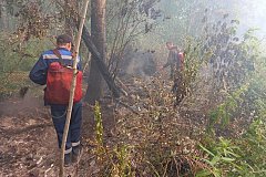 Четырнадцать лесных пожаров ликвидировано в Хабаровском крае за минувшие выходные