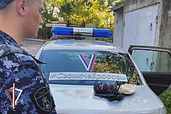 Вернуть детям украденные телефоны помогла функция «родительский контроль» в Хабаровске