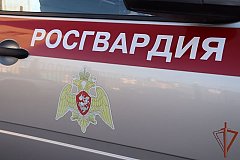 Росгвардейцы нашли сбежавшую из дома 5-летнюю девочку в Хабаровском крае