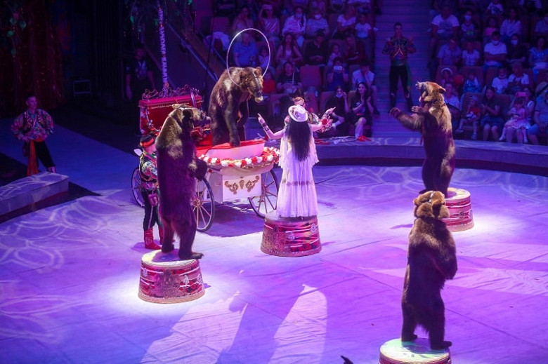 Новое красочное шоу Гии Эрадзе «5 континентов» представят в Хабаровском цирке фото 3