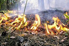 Один лесной пожар бушует в Хабаровском крае
