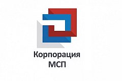 Корпорация МСП приглашает бизнес Хабаровского края на онлайн-практикум