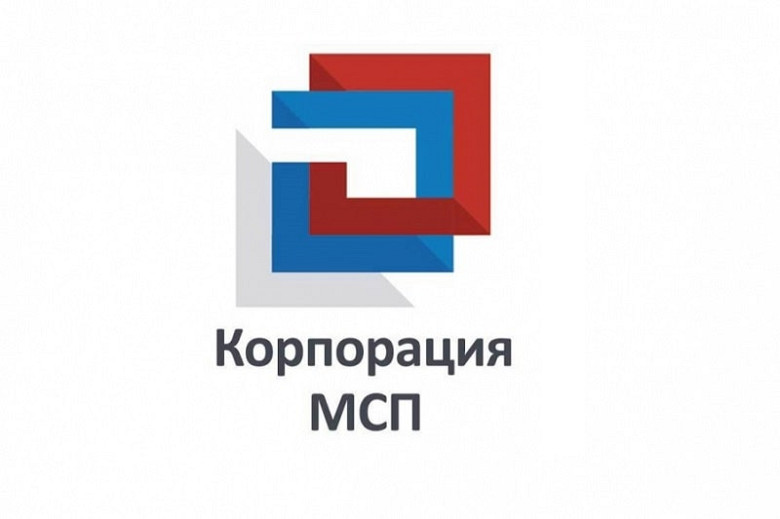 Корпорация МСП приглашает бизнес Хабаровского края на онлайн-практикум фото 2