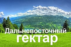 «Гектарная амнистия» впервые состоится в Хабаровском крае