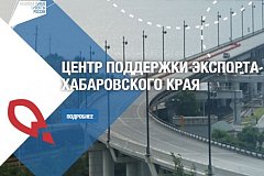 Экспортерам в Хабаровском крае возмещают до 500 тысяч рублей транспортных расходов