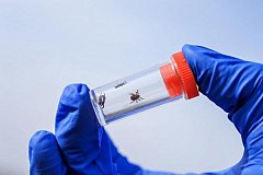 Прививку от клещевого энцефалита в этом году сделали около 20 тысяч жителей Хабаровского края
