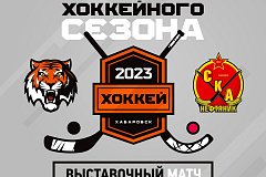 Хоккейный гала-матч состоится в Хабаровске на льду «Платинум Арены»