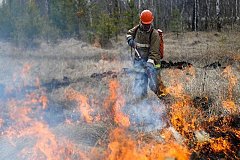 Шесть лесных пожаров тушат в Хабаровском крае после праздничных выходных