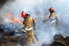 Три лесных пожара бушует в Хабаровском крае