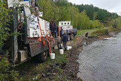 Почти 48 миллионов мальков кеты выпустили в реки рыбоводные заводы Хабаровского края