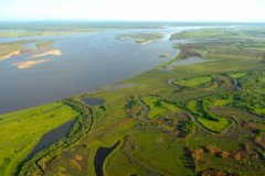 Прошедшие дожди приведут к росту уровня воды в реках на юге Хабаровского края