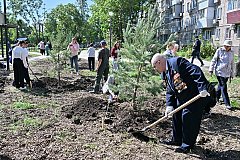 В Хабаровске высадили деревья в новом сквере