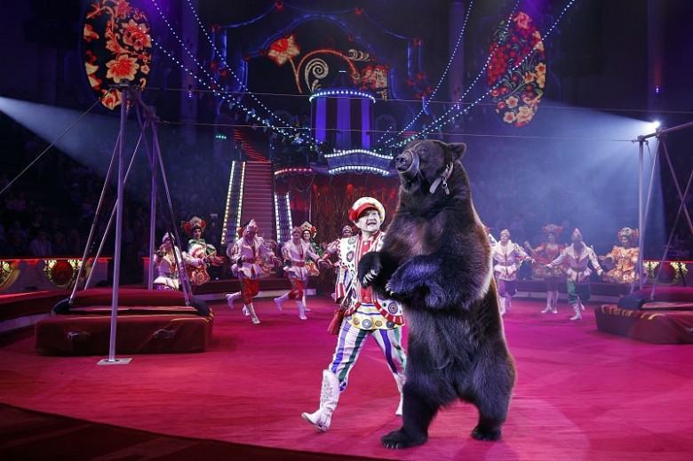 Шоу Гии Эрадзе «БУРЛЕСК» впервые представят в Хабаровском краевом цирке (0+) фото 6