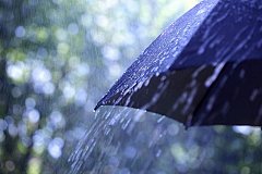 Сильные дожди и порывы ветра: На хабаровский край выходит глубокий циклон