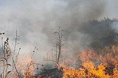 Комсомольск-на-Амуре заволокло дымом из-за лесных пожаров