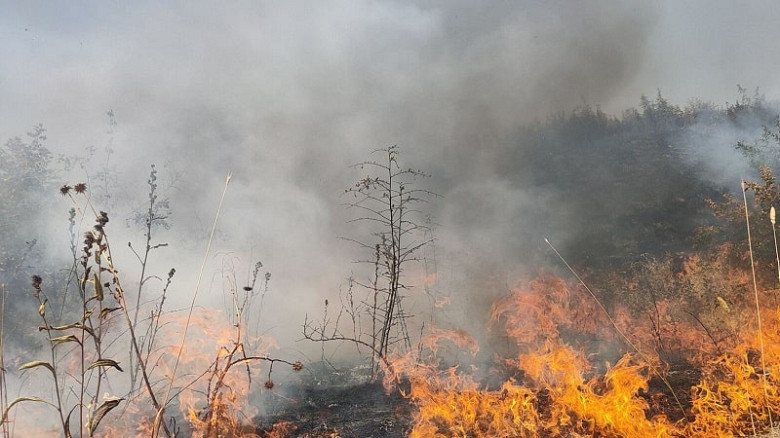Комсомольск-на-Амуре заволокло дымом из-за лесных пожаров фото 2