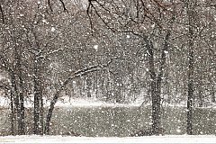 Первый снег в этом году выпал в Хабаровском крае