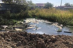 Свалку биологических отходов обнаружили в селе под Хабаровском