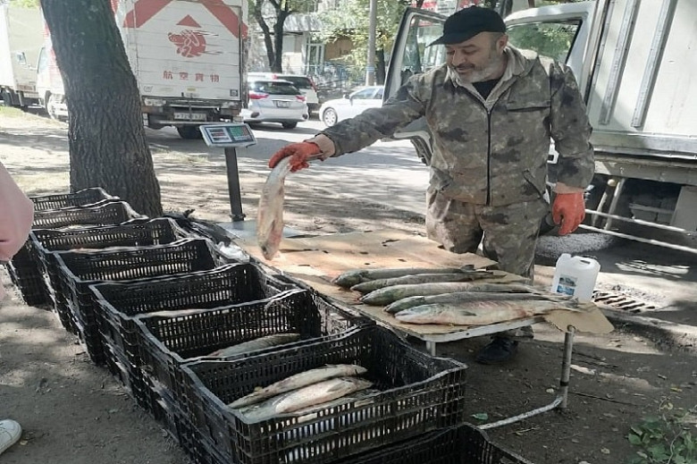 Незаконную торговлю рыбой пресекли в районе Центрального рынка Хабаровска фото 2