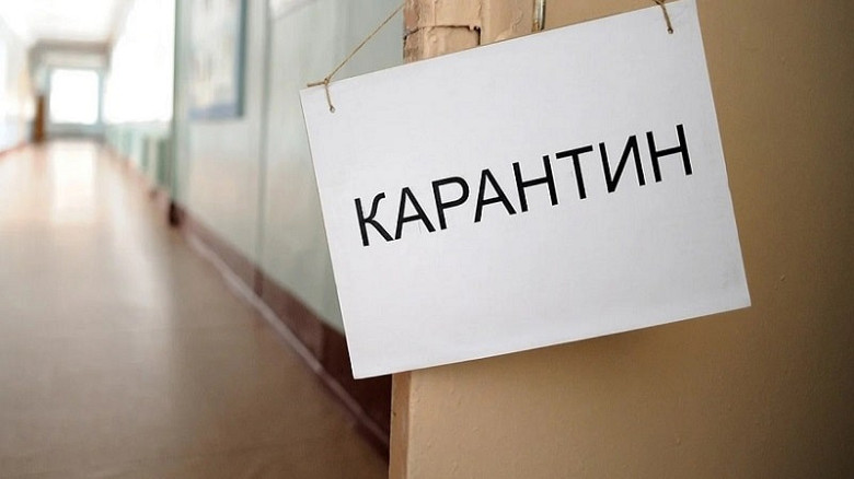 Классы в школах и группы в детских садах закрывают в Хабаровском крае фото 2