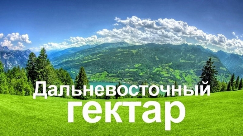 Число собственников ДВ-гектара в Хабаровском крае стремительно растет фото 2