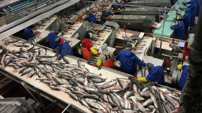 Хабаровский край увеличил экспорт рыбопродукции фото 2